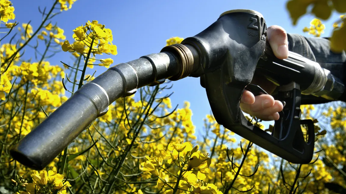 Europenii ar putea folosi în curând biocarburanți sustenabili