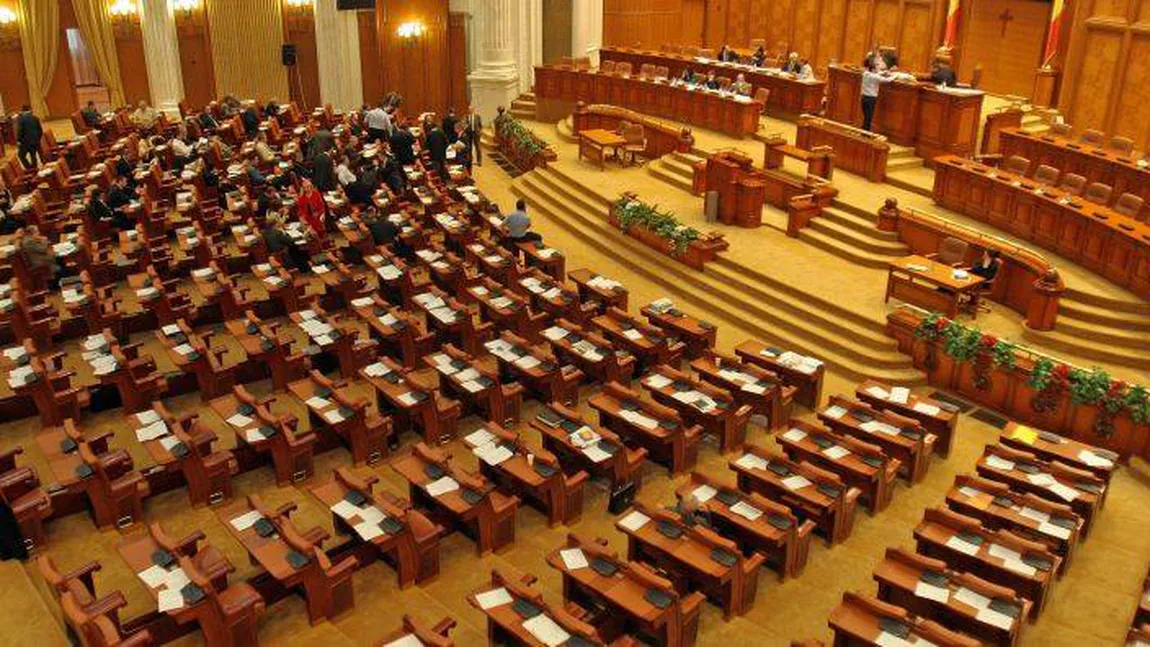 PDL va solicita introducerea în plenul Camerei a proiectului de lege privind revizuirea Constituţiei