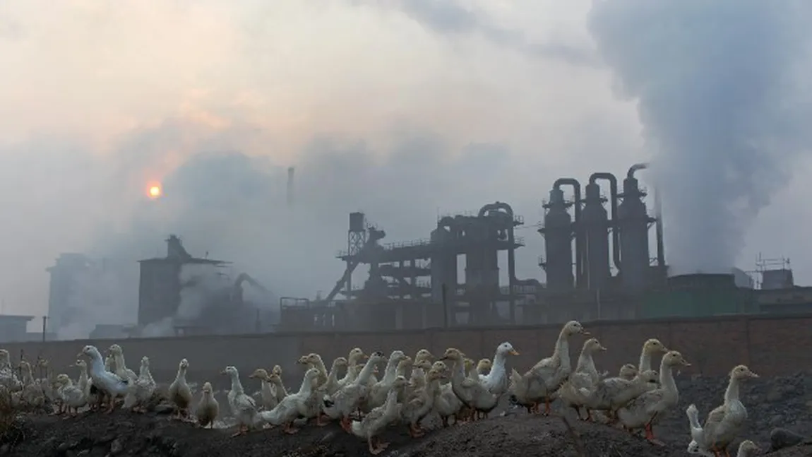 Greenpeace: China este grav poluată de producţia sa de îngrăşăminte FOTO