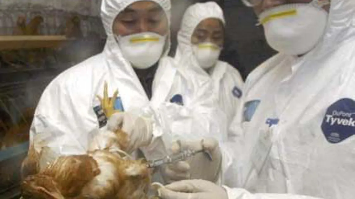 Două noi cazuri de infecţie cu virusul gripei aviare au fost înregistrate în China