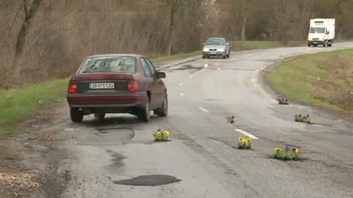 Protest cu flori: Şoferii au plantat panseluţe în 