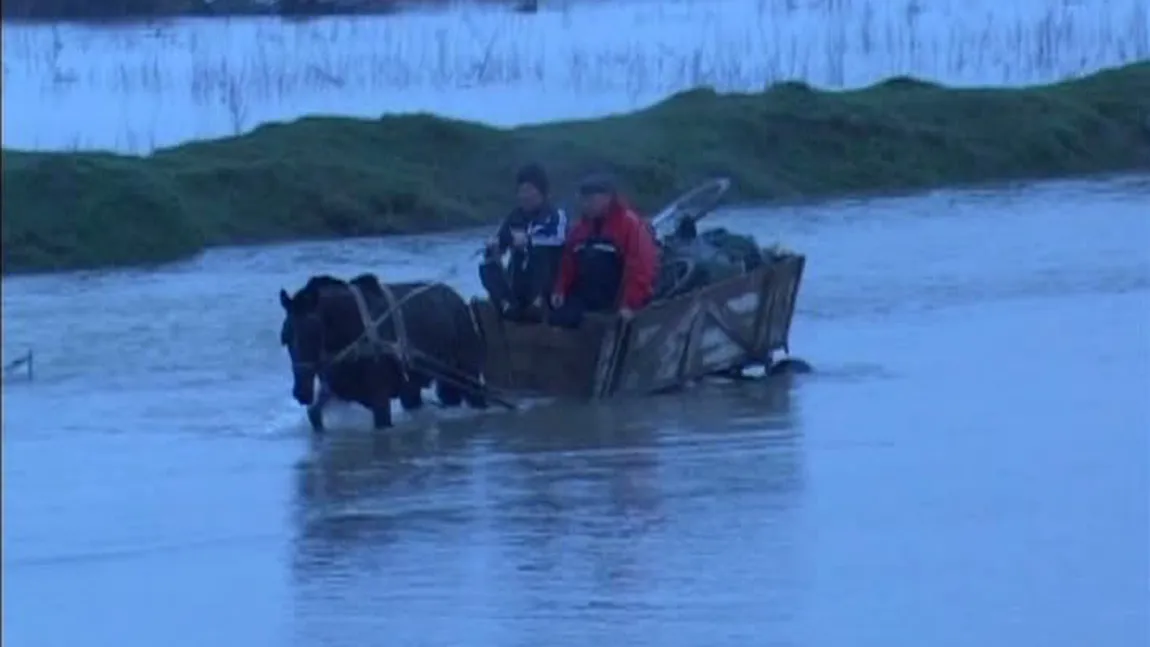 DIG RUPT de Dunăre, în Tulcea. O localitate este IZOLATĂ, sute de hectare de teren, inundate VIDEO