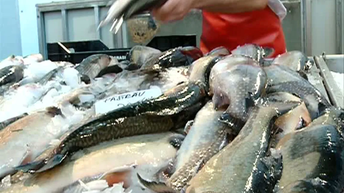 Razii în pieţele din Capitală şi din ţară. Şapte tone de peşte, confiscate de poliţişti