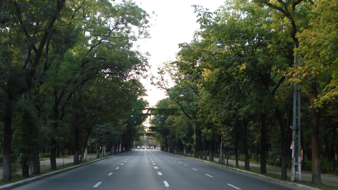 Trafic restricţionat în Capitală, sâmbătă, pe traseul Romexpo - şos. Kiseleff - Piaţa Constituţiei