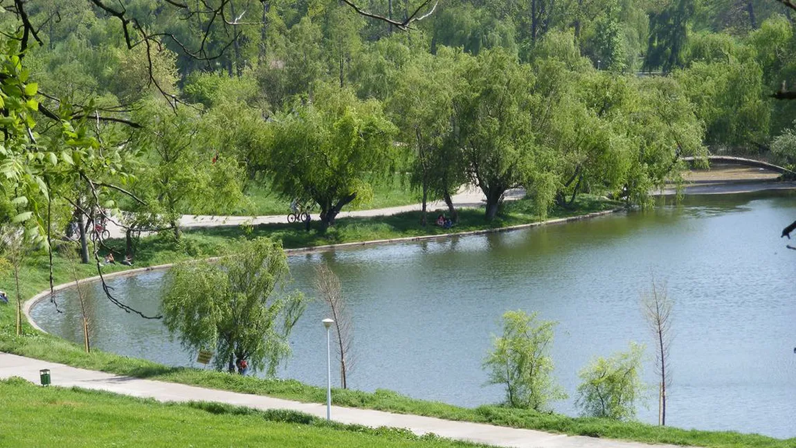 Cadavru găsit în parcul Tineretului din Capitală