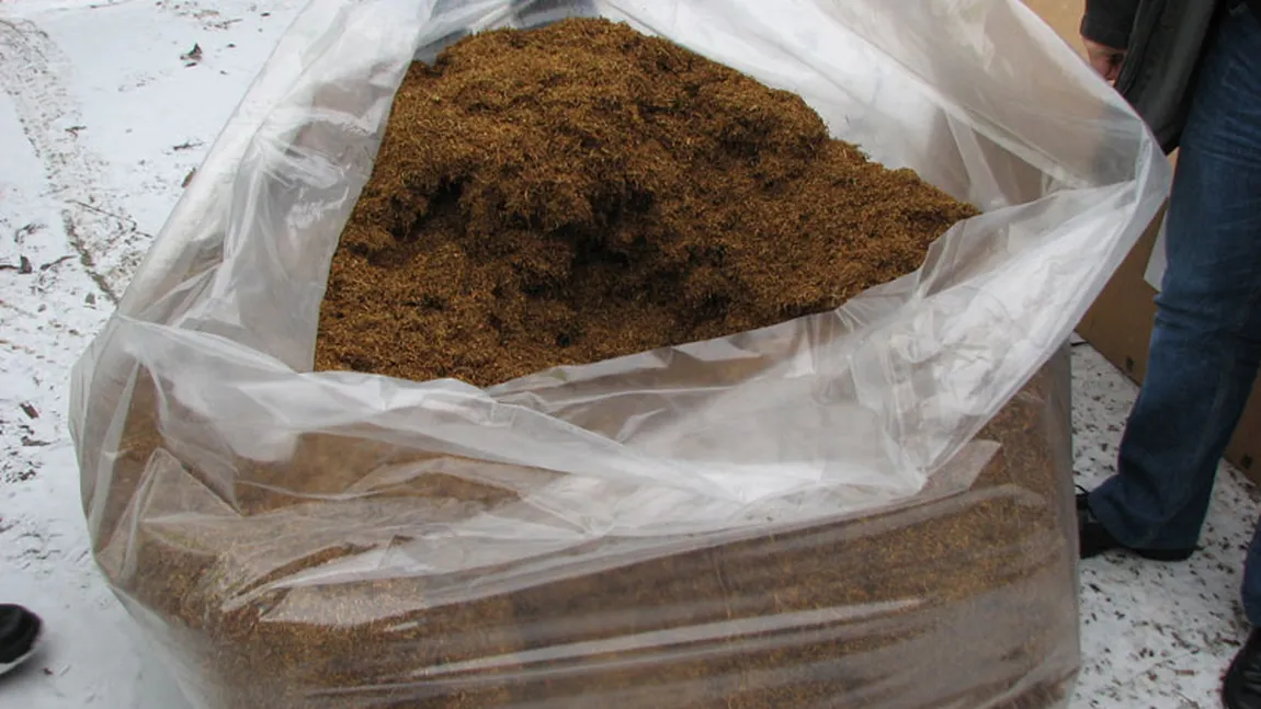 16 tone de tutun, confiscate la vama Craiova