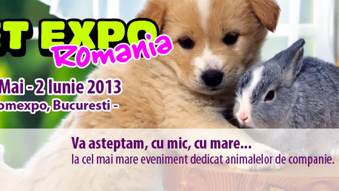 Pet Expo: Cel mai mare târg dedicat animalelor de companie a început vineri, în Capitală