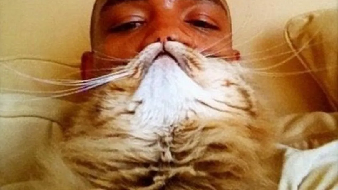 Ultima nebunie pe internet: Pisica-barbă FOTO