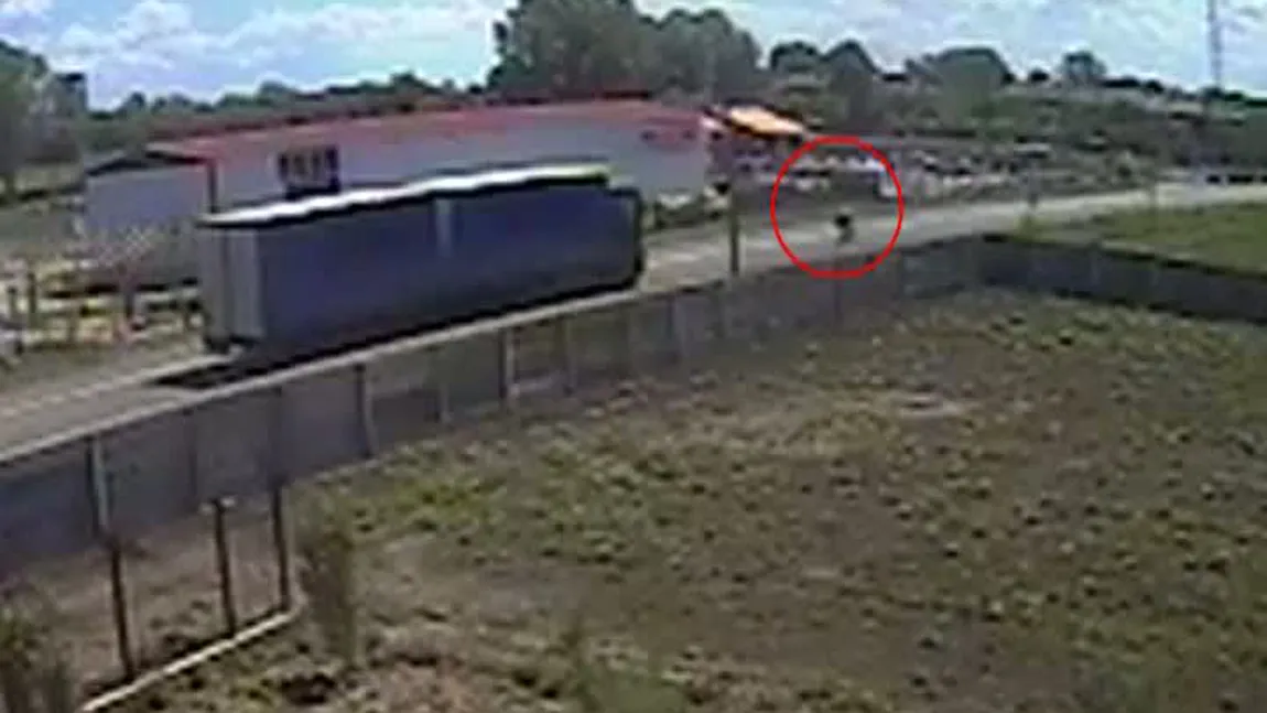 Biciclist spulberat de un TIR, pe o şosea din Constanţa VIDEO