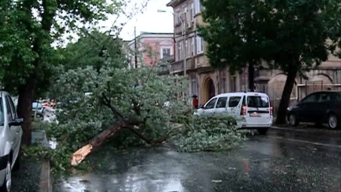 BILANŢUL FURTUNII în Capitală:18 persoane rănite, 140 de arbori doborâţi, 21 de construcţii afectate