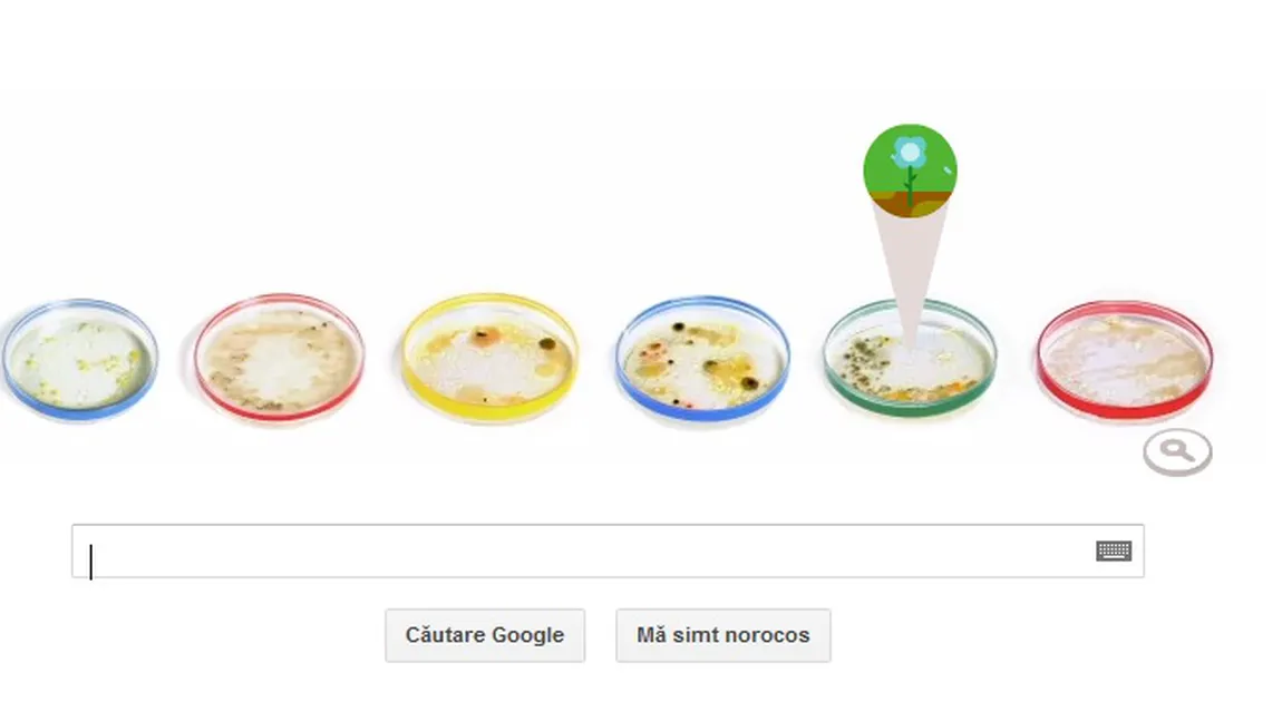 Bacteriologul Julius Richard Petri, sărbătorit de Google printr-un logo special