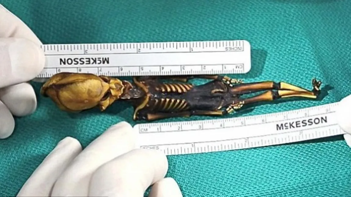 MISTERUL creaturii BIZARE de 15 cm, găsite în deşert, a fost elucidat. Cui aparţine scheletul