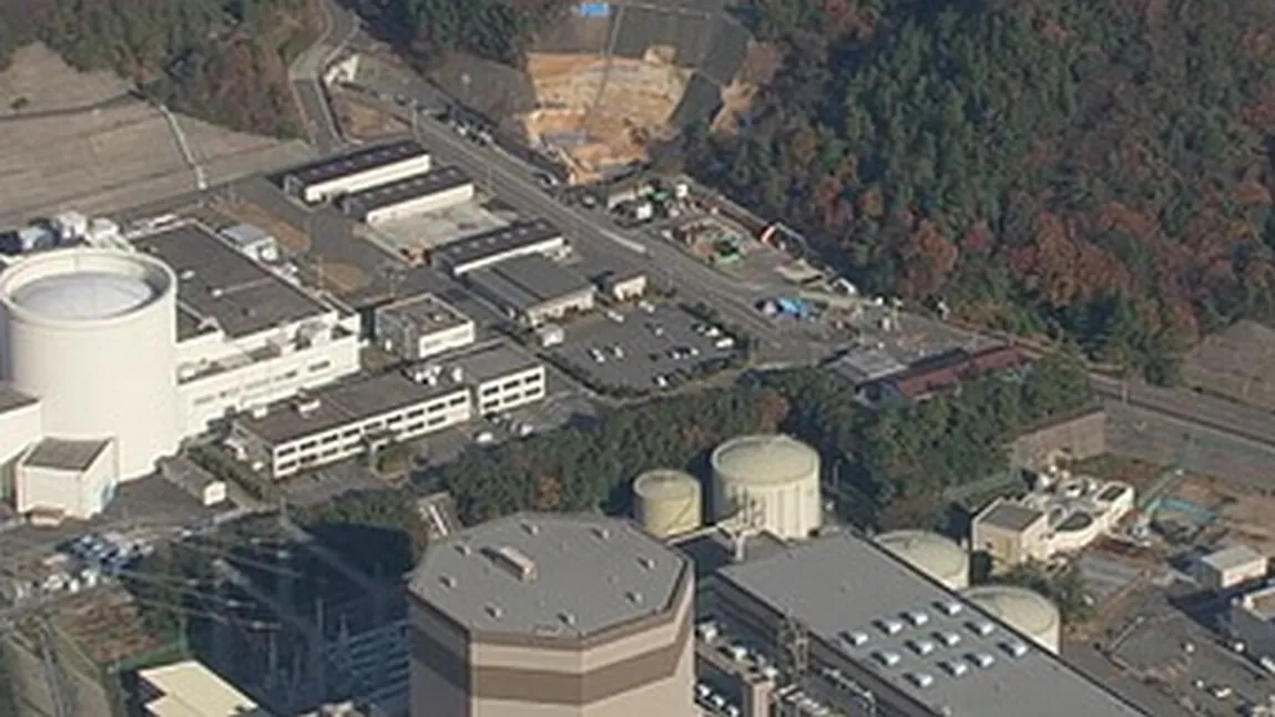 Posibilă existenţă a unei falii active sub un reactor nuclear japonez