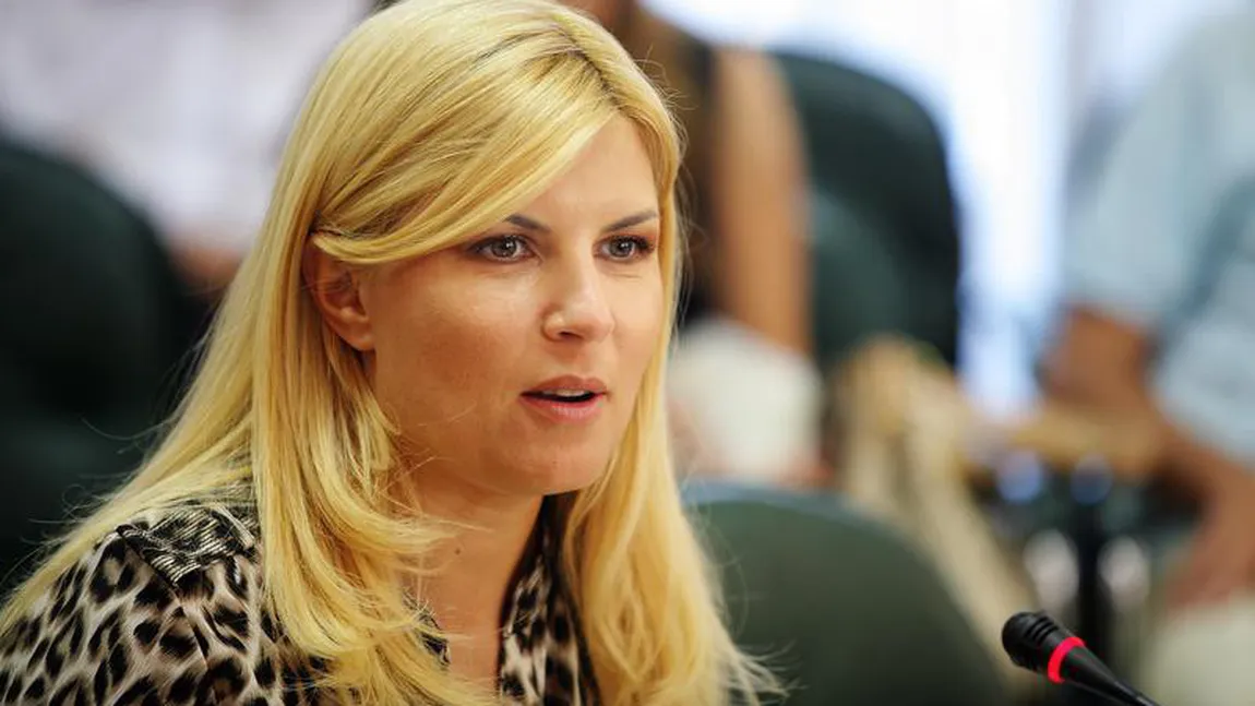 Elena Udrea îi răspunde lui Blaga: Blogul meu este mai preluat decât biroul de presă al partidului