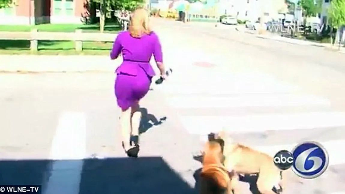 Jurnalişti, puşi pe fugă după ce o femeie nervoasă a pus câinii pe ei VIDEO