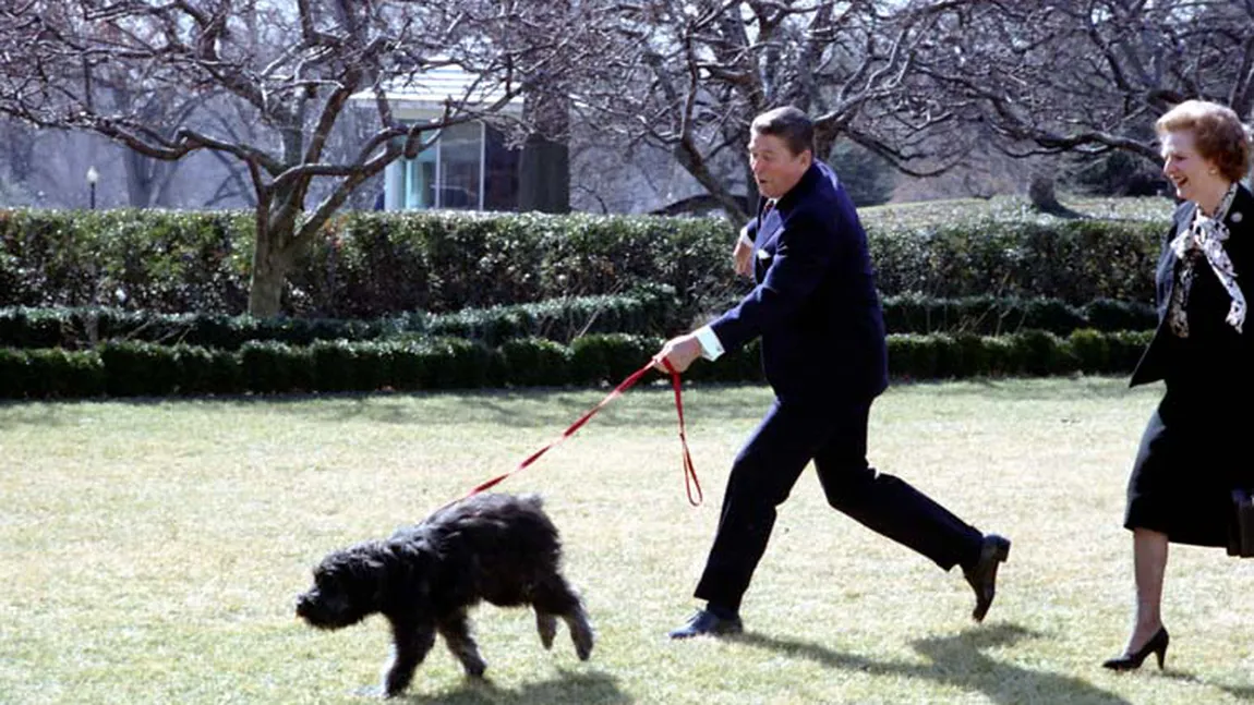 Animalele de companie ale liderilor lumii: Ce câini preferaţi aveau Hitler, Bush sau Kennedy FOTO