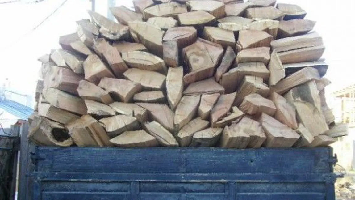 Patru bărbaţi, sancţionaţi contravenţional pentru comercializare ilegală de material lemnos