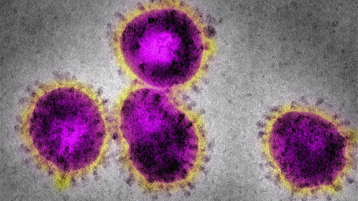 Zece persoane din Italia au fost testate pozitiv cu un virus de tip SARS