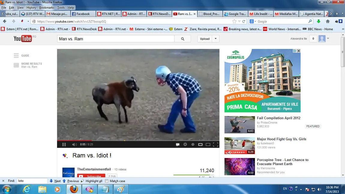 VIRAL PE NET: Bărbat vs. berbec, într-un meci de dat 