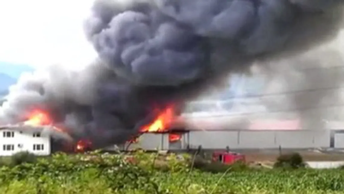 Incendiu puternic la o fabrică de ciocolată. Pagubă de 1.5 milioane de euro