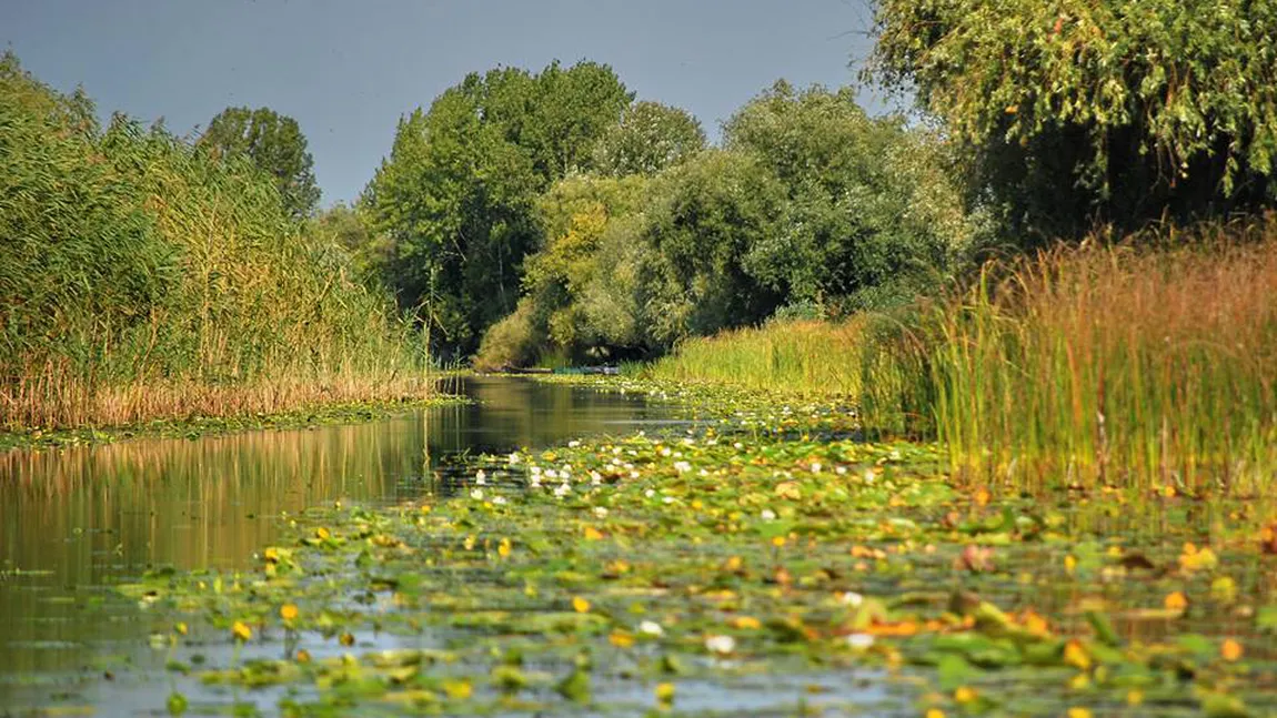 Rata de absorbţie a fondurilor europene pe POS Mediu a crescut la aproape 17%