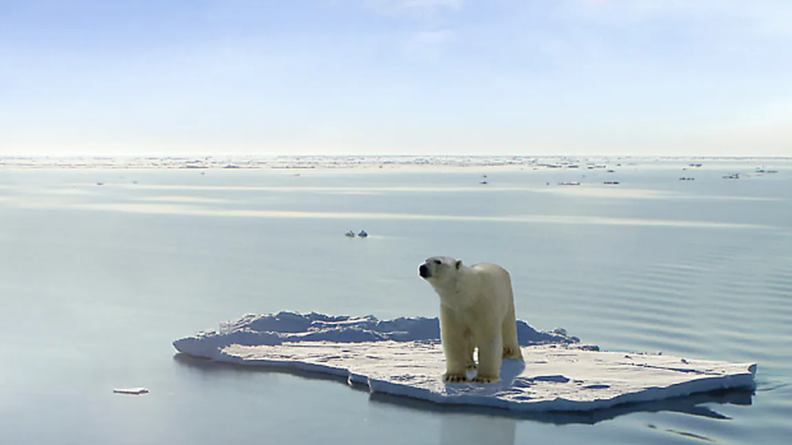 Record de emisii de dioxid de carbon şi de topire a gheţarilor arctici, în anul 2012