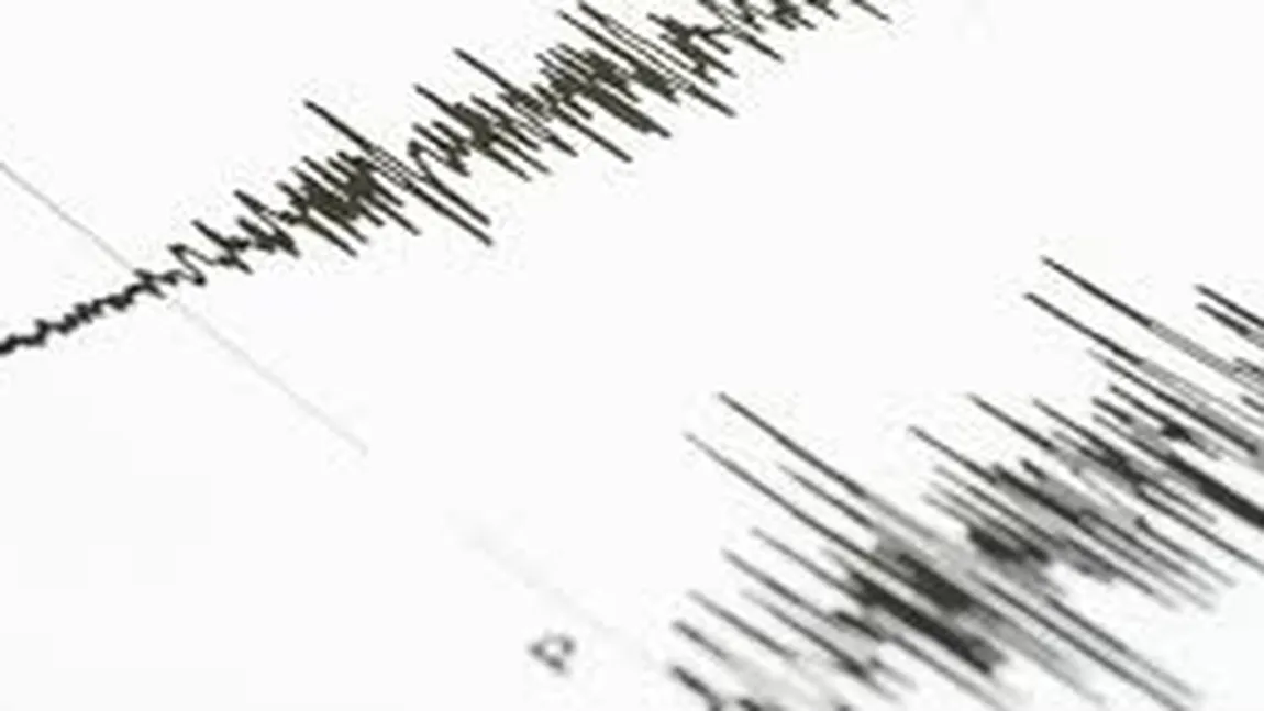 Un cutremur cu magnitudine de 6,1 a avut loc în sudul Mexicului