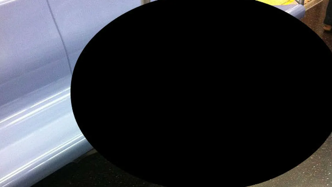Misterul rechinului de la metrou a fost rezolvat: Află ce s-a întâmplat FOTO