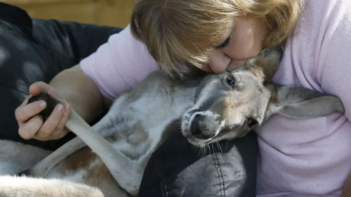 O femeie s-a mutat în grădina zoologică împreună cu cangurul ei FOTO