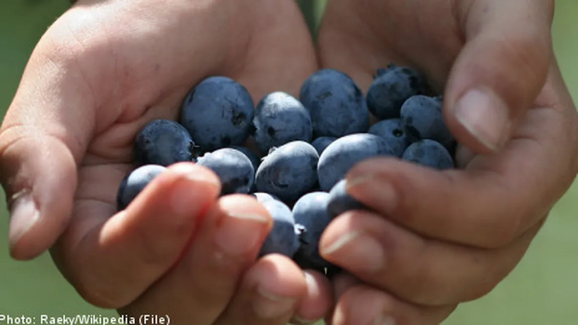 De ce merg imigranţii la cules de fructe? Vezi ce răspuns dă The Guardian