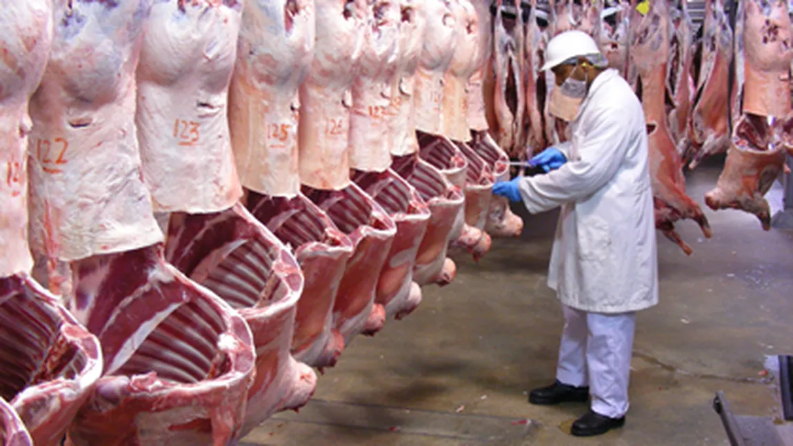 România reia exportul de carne de oaie şi de vită în Turcia
