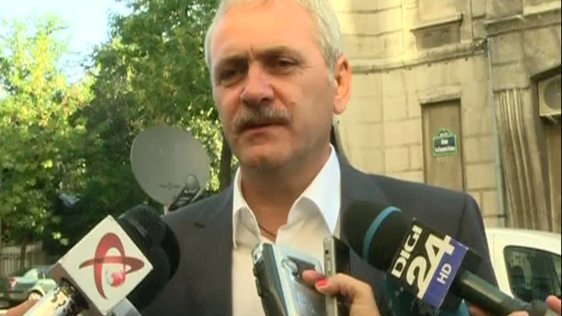 Dragnea, despre problema câinilor maidanezi: 