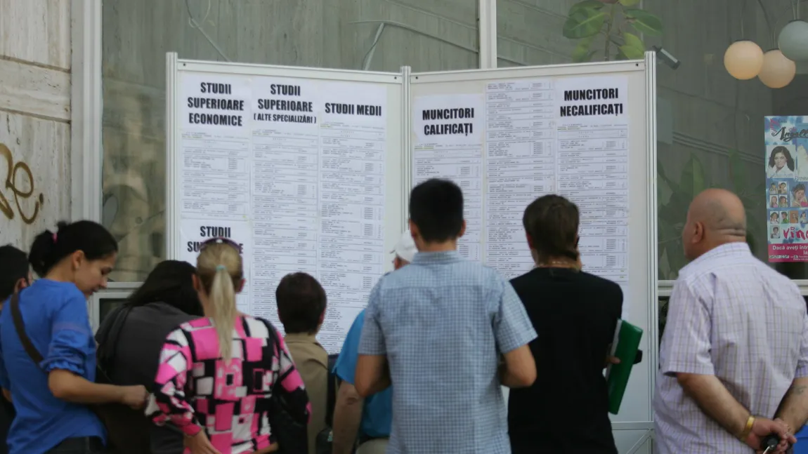 ANOFM: Peste 11.600 de posturi vacante, cele mai multe în Bucureşti şi Cluj