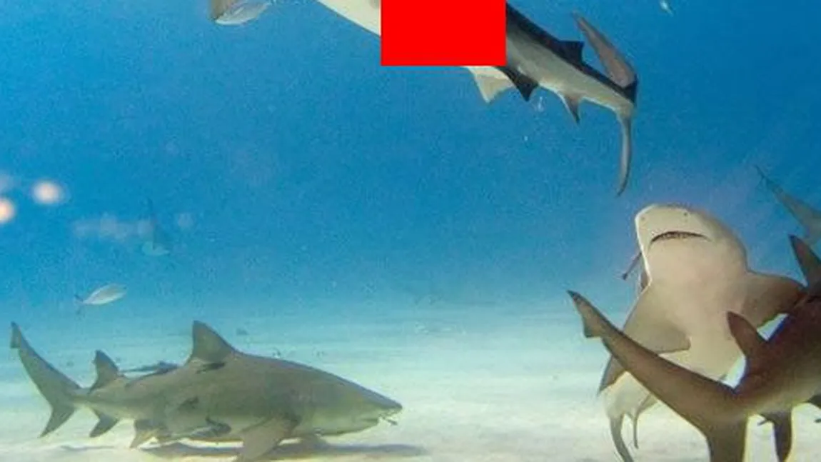 S-a apropiat de un RECHIN şi a rămas fără ce avea mai de PREŢ. Era foarte mare, aşa că i-a fost uşor FOTO