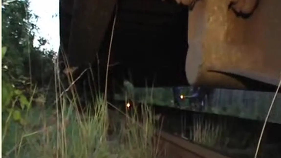 Sfârşit TRAGIC. Un bărbat a fost călcat de tren, după ce a căzut din greşeală pe şinele de cale ferată