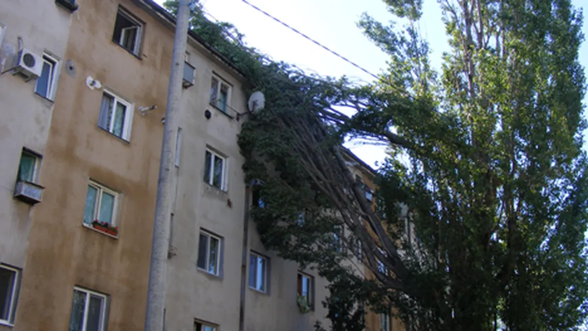 România, afectată de vânt şi ploi: Locuinţe fără curent electric, acoperişuri smulse de vânt şi copaci căzuţi