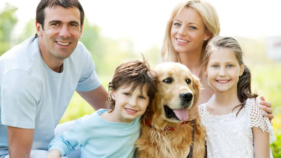 Sfatul dresorului: Ce trebuie să ştii înainte să adopţi un câine