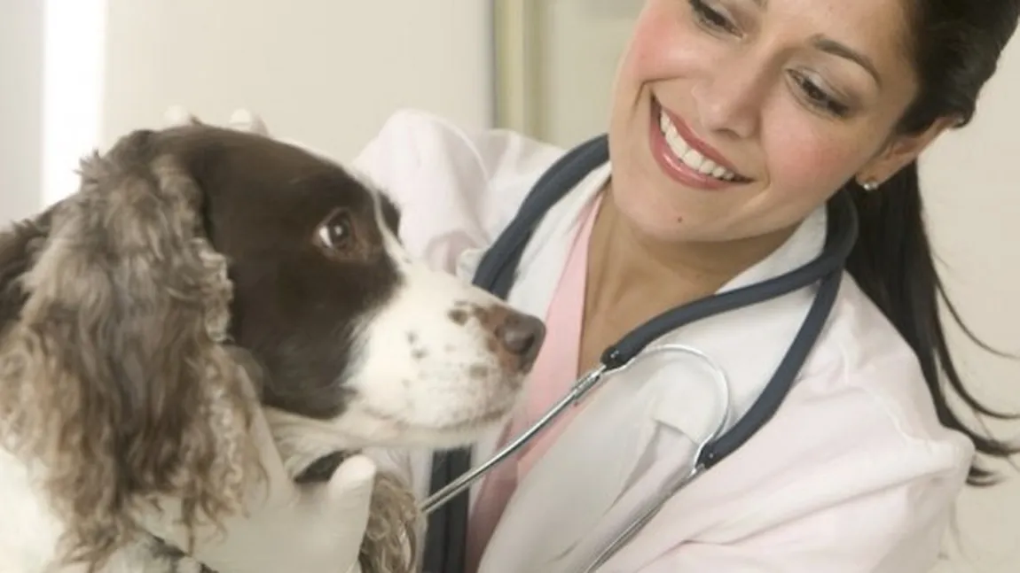 Tot mai mulţi tineri din Franţa aleg să studieze Medicina Veterinară la Cluj-Napoca