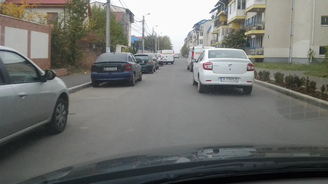 Noi străzi în Bucureşti. În curând vom circula pe Aleea Pupăza cu moţ sau Cuminţenia Pământului