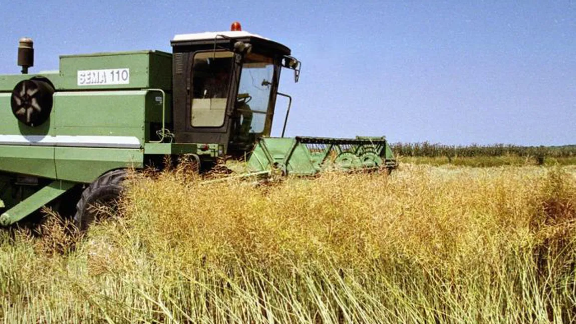 Străinii vor putea cumpăra teren agricol în România de la 1 ianuarie 2014