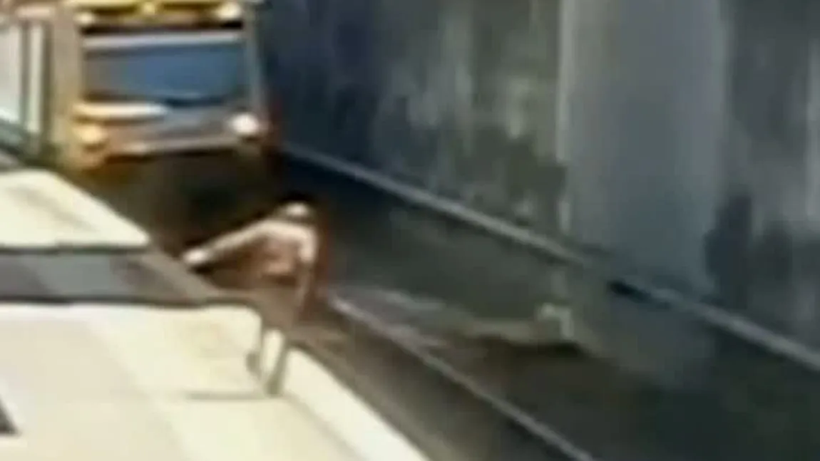 Imagini care ÎŢI TAIE RESPIRAŢIA: Un bătrân CADE pe şinele de tren când metroul INTRA ÎN STAŢIE VIDEO