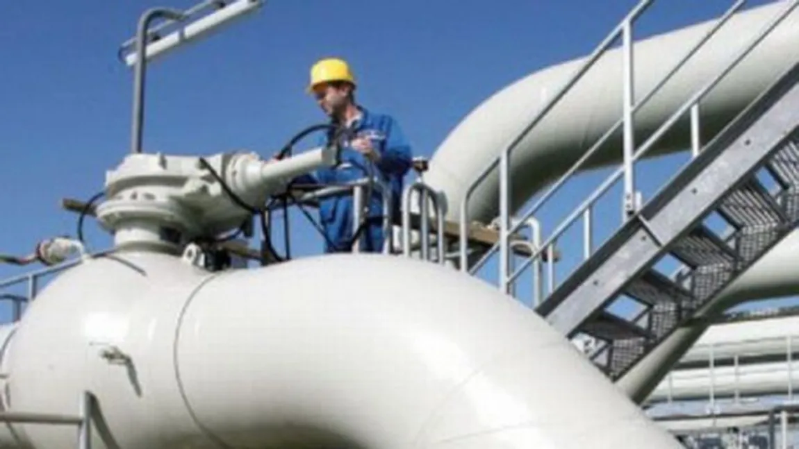 Niţă: FMI şi CE au fost de acord cu amânarea liberalizării preţului gazelor pentru companii