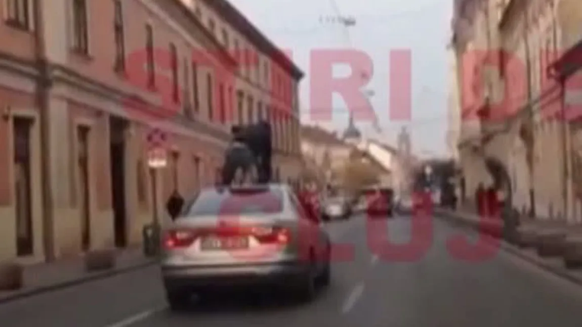IMAGINI INCREDIBILE în trafic. Un bărbat a mers pe plafonul unei maşini VIDEO