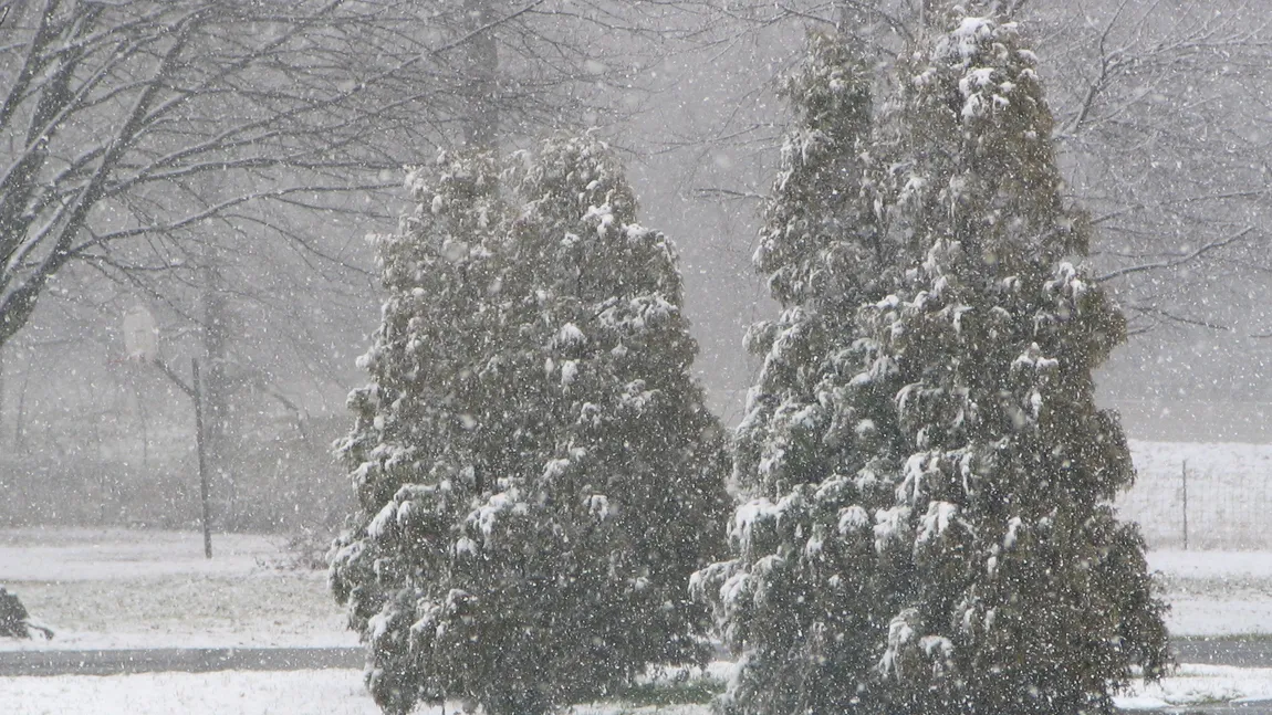 Meteorologii avertizează: SE ÎNTORC NINSORILE şi VISCOLUL