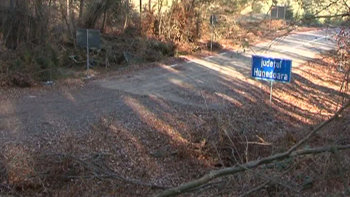 Şoseaua care nu duce nicăieri: 23 de milioane de euro pentru un drum care se termină în pădure VIDEO