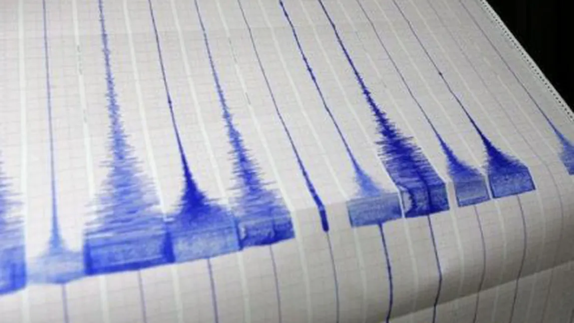 Un cutremur de 3,2 s-a produs joi seară în Vrancea
