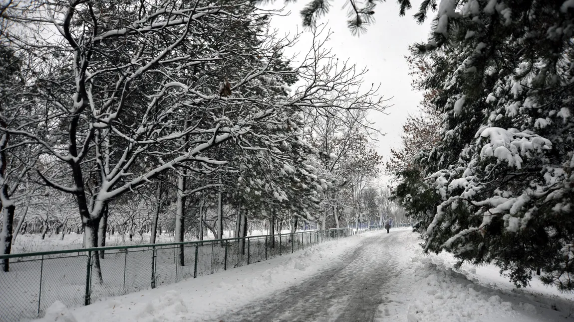 Cum va fi VREMEA în primele zile din 2014. Vezi PROGNOZA METEO pentru săptămâna viitoare