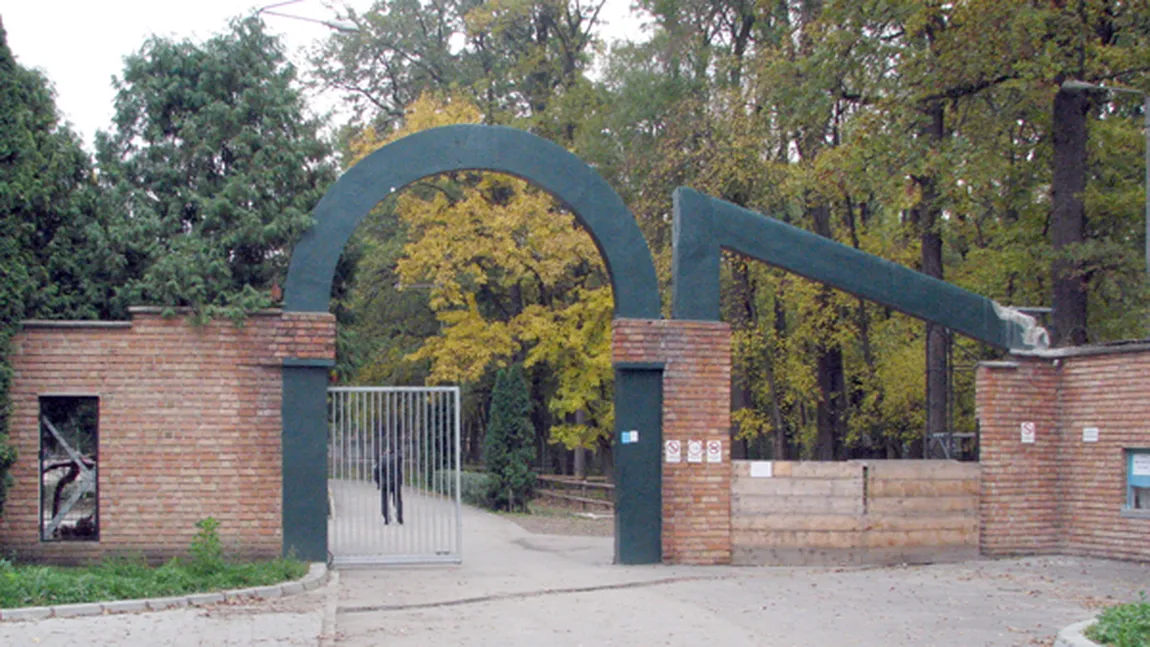 Zebra de la Zoo Timişoara va fi incinerată la două luni de când a murit înecată într-un heleşteu