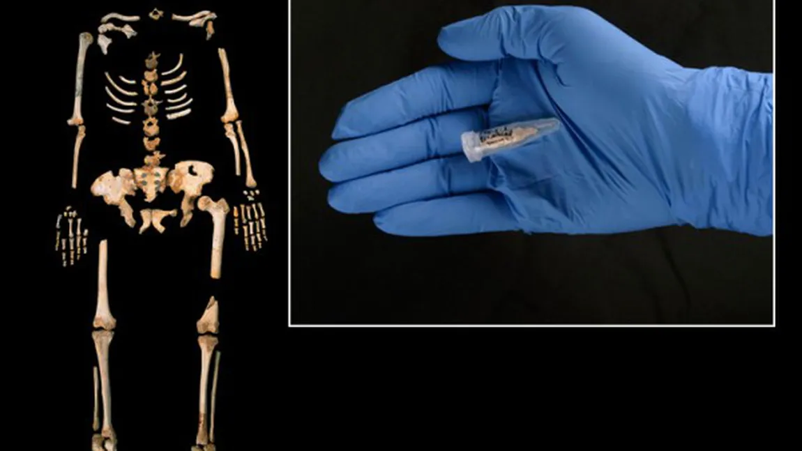 Cel mai vechi ADN uman, descoperit în zăcămintele de la Atapuerca