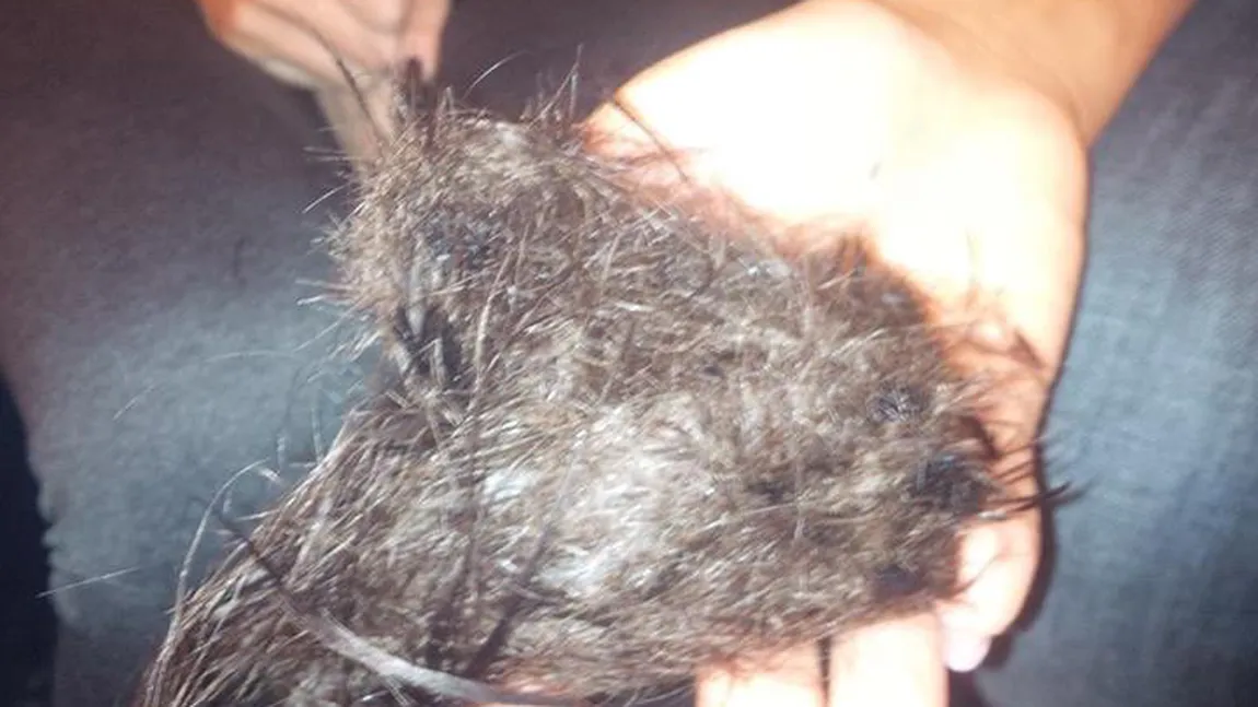 O bucureşteancă a rămas FĂRĂ PĂR, după ce s-a coafat la un salon de fiţe FOTO